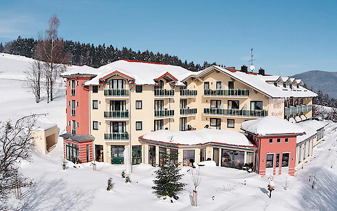 Winter in St. Englmar Hotel Reinerhof